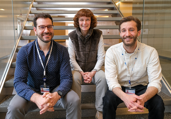 Maxime Ilzkovitz, Anne-Pascale Meert, Louis Wolff